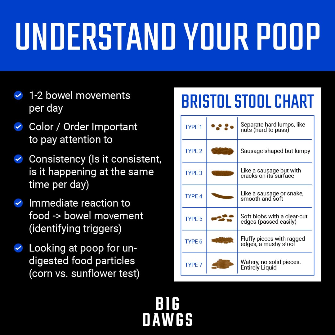 Understand Your Poop