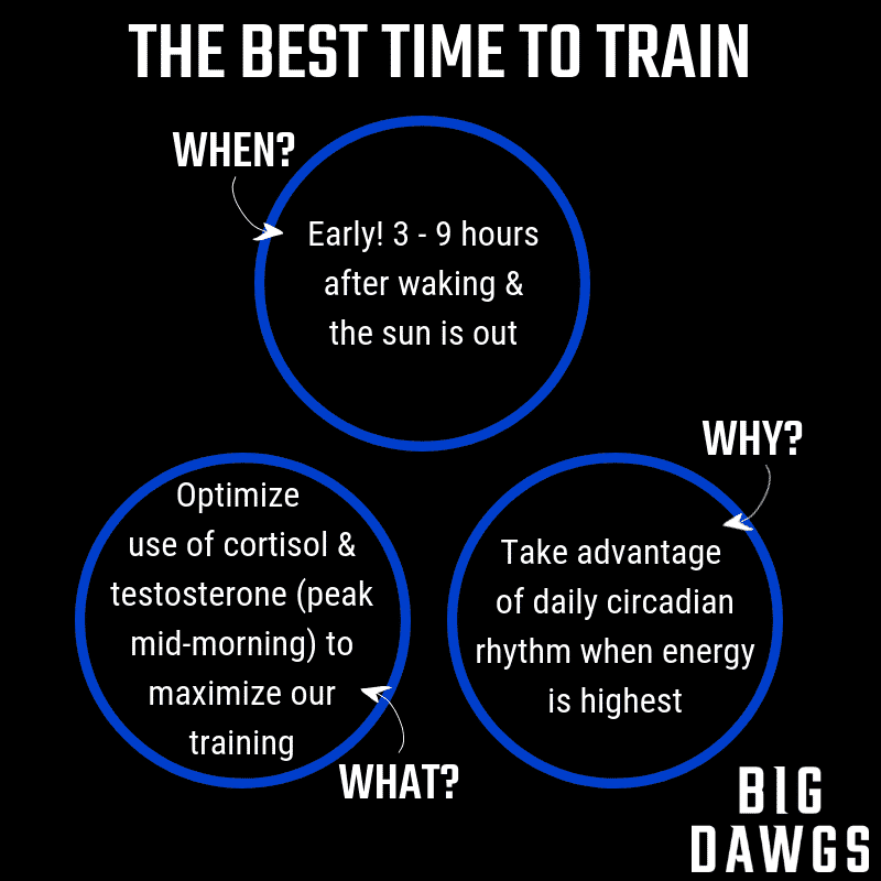 The Best Time to Train